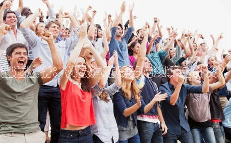 杏耀手机网页登录入口v2