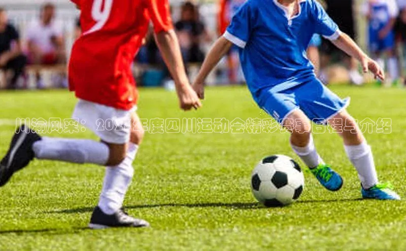 杏耀手机网页登录入口v2